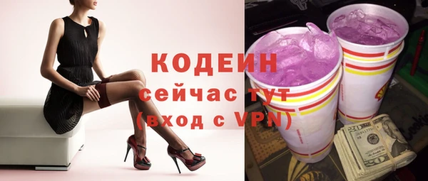 шишки Гусиноозёрск