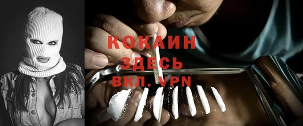 apvp Дмитриев
