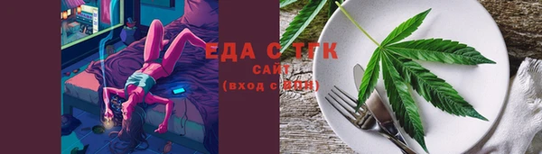 шишки Гусиноозёрск