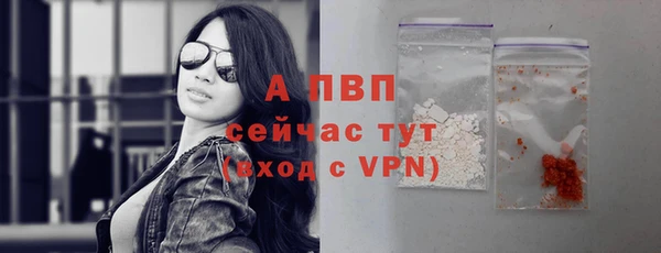 СК Гусев