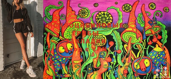 MDMA Premium VHQ Дмитров