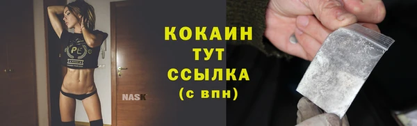 шишки Гусиноозёрск
