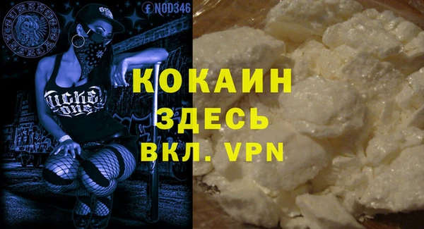 шишки Гусиноозёрск