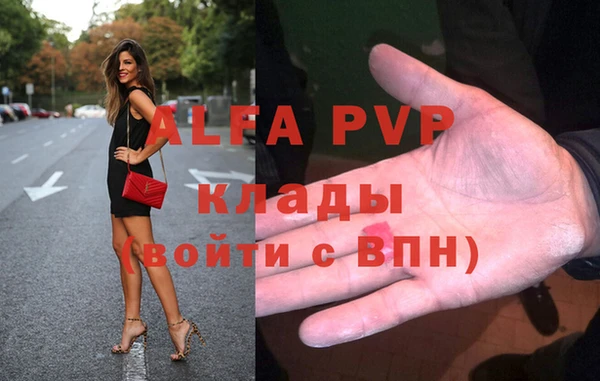 шишки Гусиноозёрск