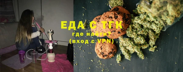 шишки Гусиноозёрск