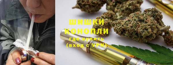шишки Гусиноозёрск