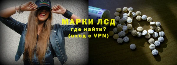 шишки Гусиноозёрск