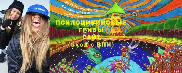 шишки Гусиноозёрск