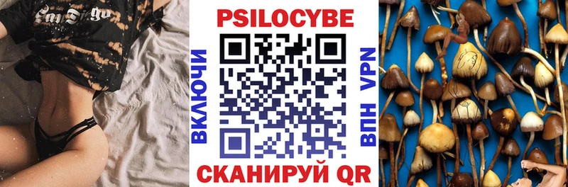 Купить  Козельск  Галлюциногенные грибы прущие грибы 